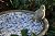 Esschert Design USA Ceramic Birdbath-Blue/White