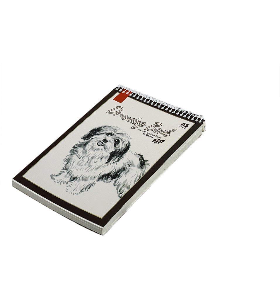 True-Ally Sketch Book A5 Size - 50 Sheets(100 Pages) - Natural Cartridge Paper - 140 GSM - Little Grainy Surface - Perfect for Sketching - Spiral Bound (A5 : 50 Sheets -140 GSM - Pack of 2) (B08PKJDSPG) Amazon Price History, Amazon Price Tracker