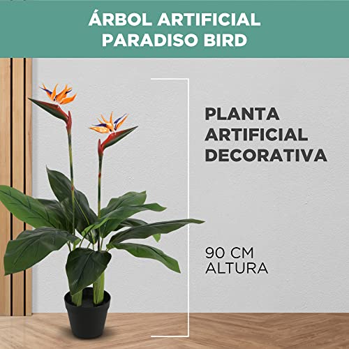 Review de Planta ave del paraiso precio disponible en línea. 9 Imagen adicional