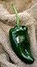 Poblano Ancho Chile Mexico Heirloom Pepper Premium Seed Packet + More