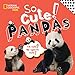 So Cute! Pandas (So Cool/So Cute)