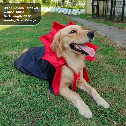 Photo complémentaire