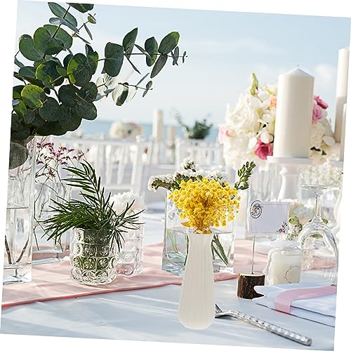Ramo seco de Gypsophila natural para decoración miniatura 3