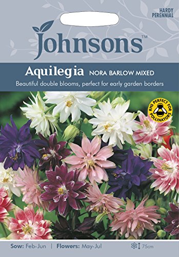 Johnsons 16734 Flower Seeds, AQUILEGIA Nora Barlow Mixed