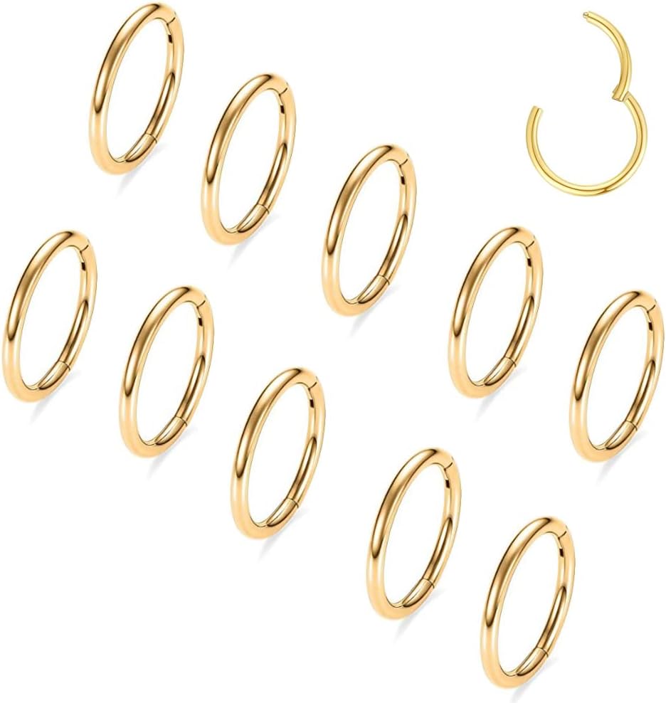 Casvort 10 PCS 16G Seamless Septum Nose Piercing Rings Segment Tragus Hoop Rings 316 Stainless Steel Helix Ring Stack Clickers Ear Plugs Hangers Women Body Jewelry - Image 3