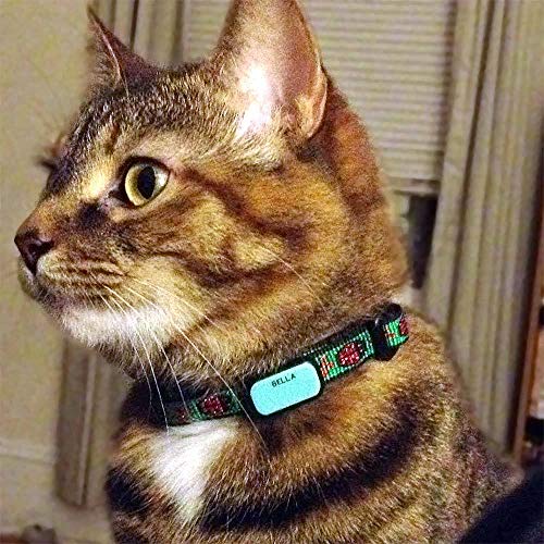 Luckypet Pet Id Tag: Collar Tag - Attaches Flat To Any Collar - Perfect For Dogs Or Cats - Custom Engraved - Durable And Silent! Small-Grey-Rectangle #TOP6