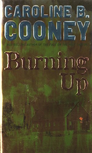 Burning Up view 2