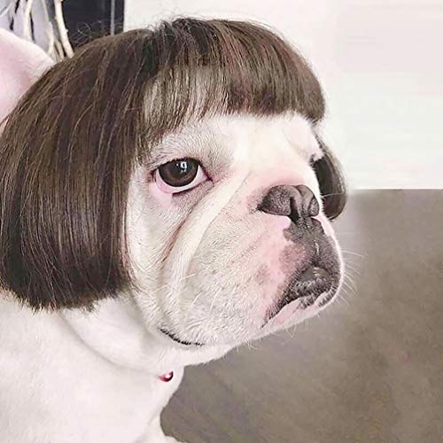 ULTECHNOVO Peruca Marrom Traje Do Gato Do Cão Acessórios Para O Cabelo Syethetic Traje Animal de Est