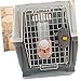 BESPORTBLE Pet Cage Water Dispenser Dog Water Bottle Hanging Feeder for Rabbit Cat Kitten