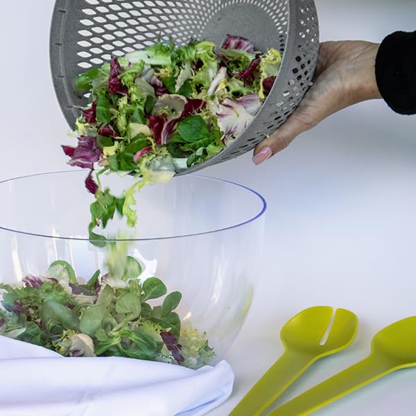 Stefanplast Salat Salatschleuder mit Deckel 2 in 1 Tosca Taupe 26 cm