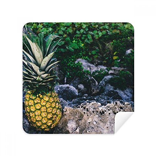 Lunettes rayées ? Chiffon de nettoyage en suède motif ananas pour écran