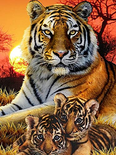 Sugamm DIY Diamond Painting Tigre Complet Kits, 5D Broderie Peinture Diamant Painting Animal Kit Complet De Croix Strass Broderie Diamant Art Craft Pour Home Décoration Murale 30x40cm