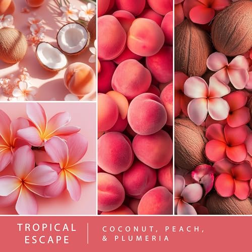 Scentsationals Wax Melts Serene Horizons 4 Pack – Long-Lasting, Strong-Scented Wax Cubes for Warmers, Includes Kyoto Spa, Tropical Escape, Mediterranean Grove, and Desert Rose, 10oz (24 Cubes) - Image 3