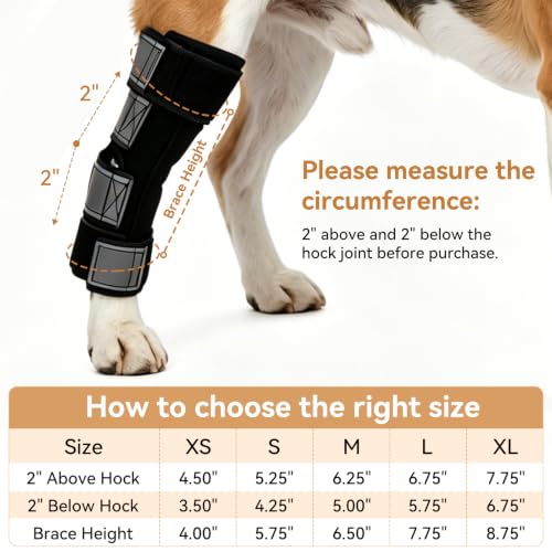 Image of Dog Leg Brace for Back Leg Support Adjustable Hock & Ankle Compression Wrap