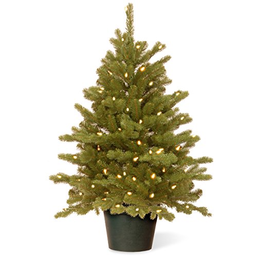 National Tree 3 Foot Feel Real Hampton Spruce Wrapped Tree with 100 Clear