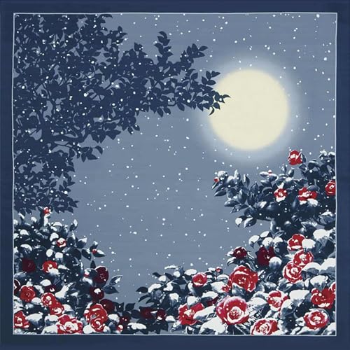 C~ Vz {̓~ (100%)V^  50cm