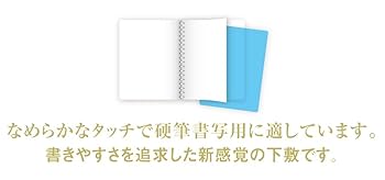 Amazon.co.jp: 共栄プラスチック カラーソフト透明下敷 A4
