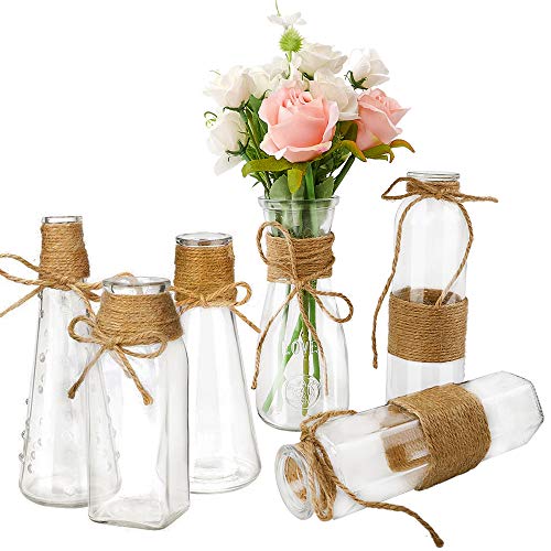 Habbi Glass Vases Set of 6, Clear Glass Flower Vase with Rope Design for Home Decration