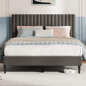 Casaottima Queen Bed Frame, Velvet ...