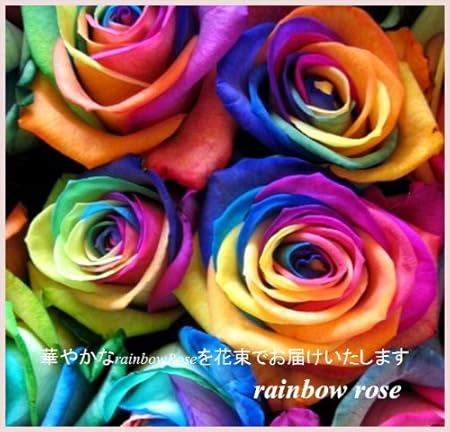 Amazon フラワーギフト サプライズ ブーケ レインボーローズ 虹色のバラ10本の花束 誕生日プレゼント 結婚祝い 記念日 フルールココ 花束 Amazon フラワーギフト サプライズ ブーケ レインボーローズ 虹色のバラ10本の花束 誕生日プレゼント 結婚祝い 記念日 フルールココ 花束