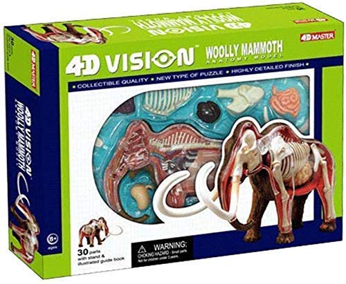 Amazon.co.jp: 4D解剖学モデルキット象、動物の骨格構成教育学習玩具