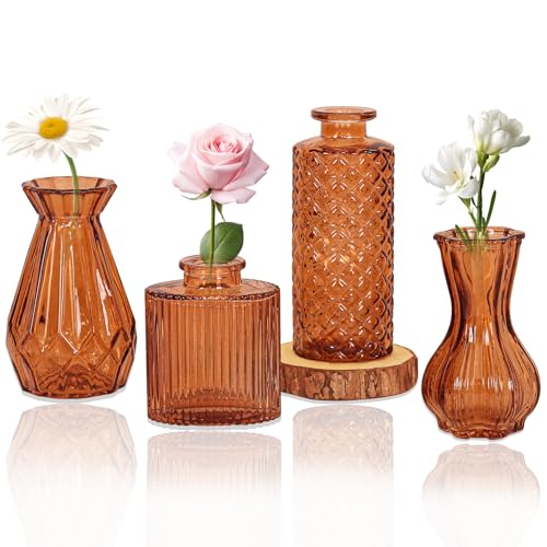 Set of 4 Glass Bud Vase Set, Small Vintage Clear Flower Vase Centerpieces for Table...