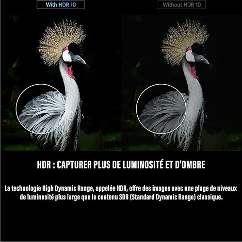 Android TV Box 10.0 behuizing Android TV 4K HD X96Q Mini 2GB RAM 16GB ROM Box WiFi 2.4G Screen mirroring je telefoon op je tv - Afbeelding 3