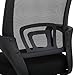 T-LoVendo TY-H03-BLACK Silla de Oficina con Soporte Lumbar, Negro, Normal