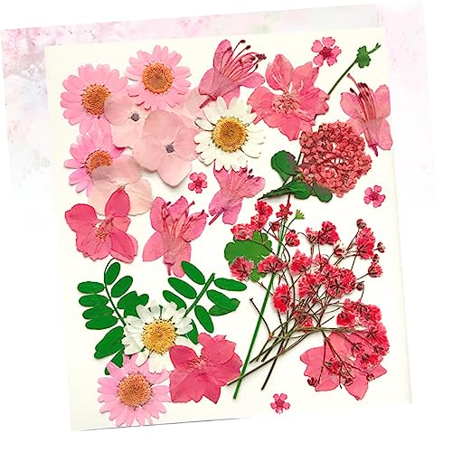 30 flores secas prensadas mixtas para manualidades miniatura 6