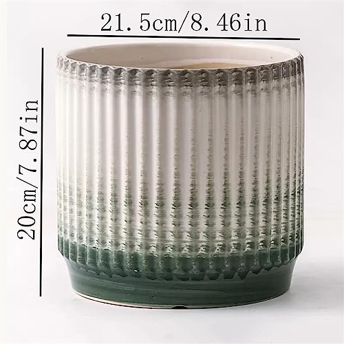 Pot de plantes cylindrique grand format pour sauver vos succulentes - 3