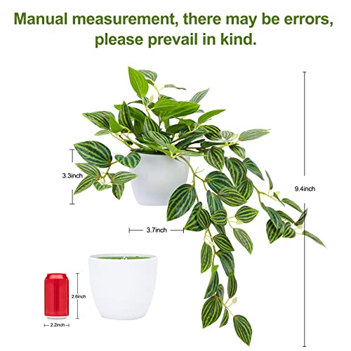 Recopilación y reviews de Plantas sinteticas para pared los más solicitados. 15 Recopilación y reviews de Plantas sinteticas para pared los más solicitados. 15