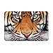 Tiger Bathroom Rugs Non-Slip Microfiber Soft Bath Mats Washable Floor Rug Carpets Entryway Door Mat for Doormats Tub Shower Decor