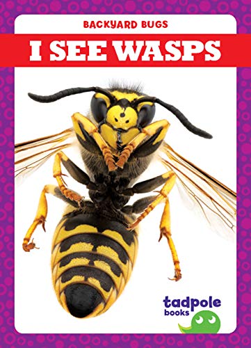 I See Wasps (Tadpole Books: Backyard Bugs)      Library Binding – Illustrated, August 1, 2019