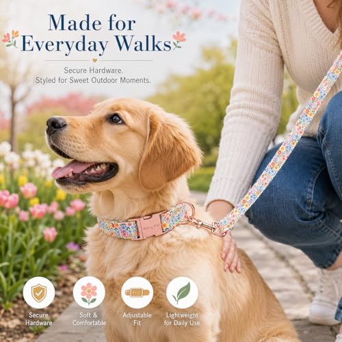 Image of ARING PET Girl Dog Collar for Puppy Small Medium Large Dogs-Wild Floral S | Cute Colorful Floral Heavy Duty Pet Collars with Metal Buckle for XS S M L XL Dogs, for Daily Walk Camping Trip Photoshoots