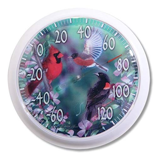 Taylor Precision Products 6774 13Inch Birds Outdoor
