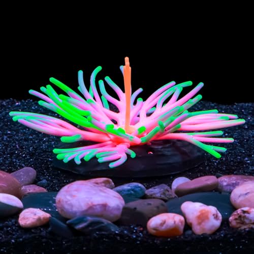 Bluecoco Dynamic Glow in The Dark Aquarium Decorations Unleashing Visual