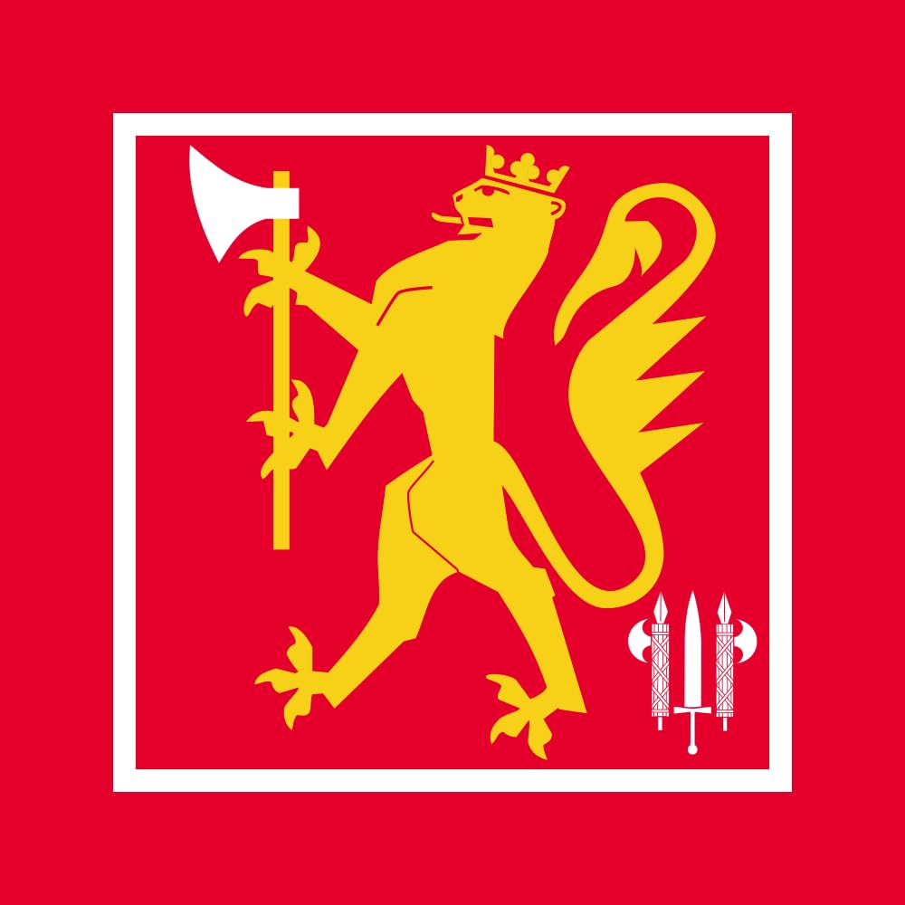 Drapeau militaire de Norvège grand modèle pour décoration murale de bureau