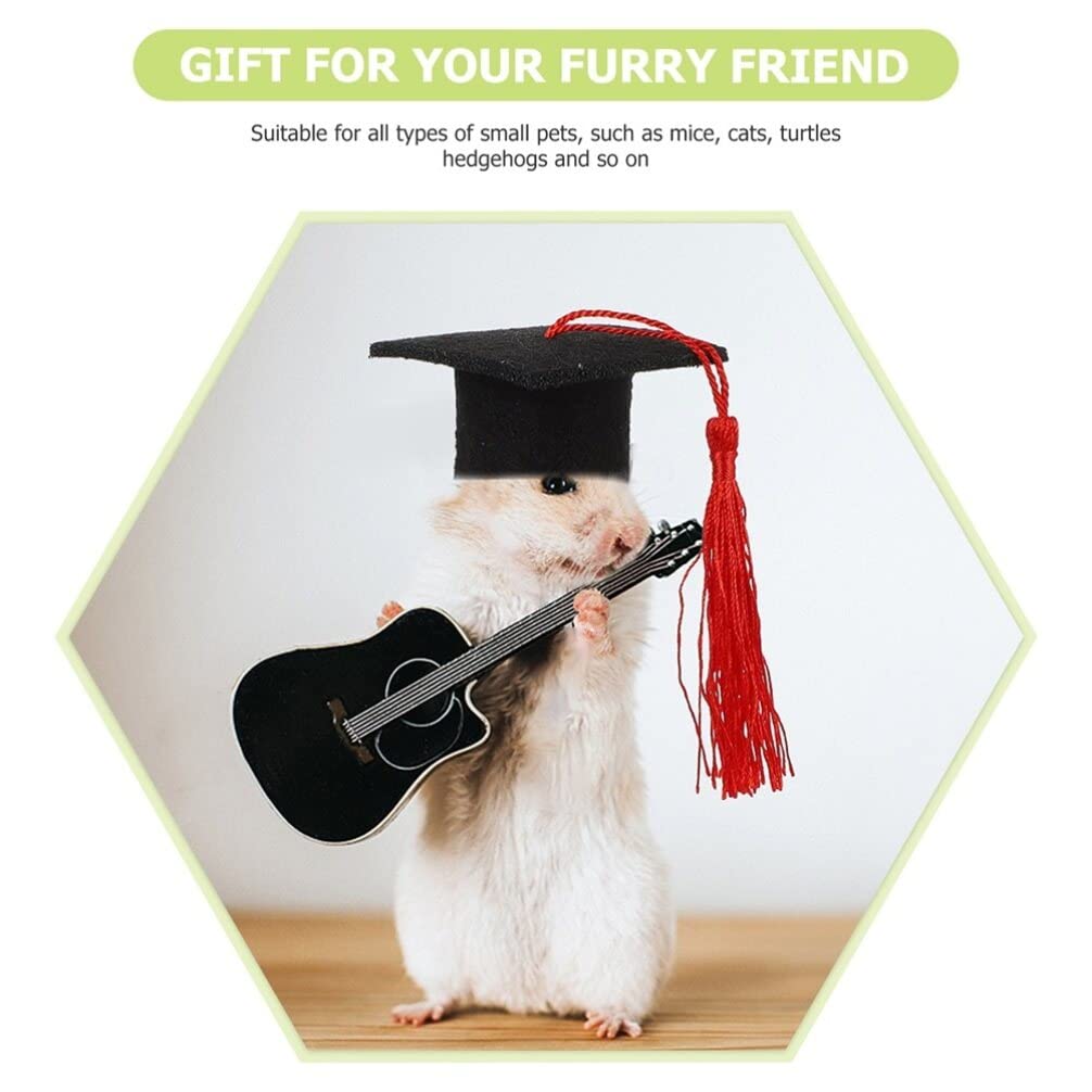 Cappellino Laurea Per Animali Domestici | Costume Decorativo Per Criceti E Piccoli Animali | Feltro - Foto 11
