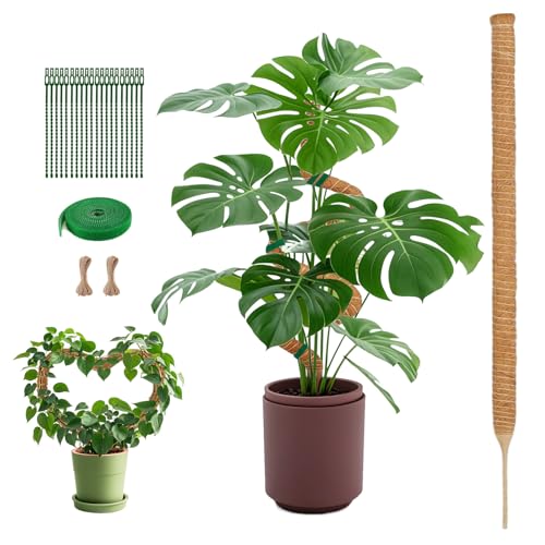 SZMDLX 160CM Schwer Moosstab, Rankhilfe Zimmerpflanzen Kokosstab Pflanzenstab, Pflanze Unterstützt Indoor Biegbar Monstera Rankhilfe, Moosstab für Monstera mit Hanf Seil & Kabelbinder & Pflanze Band