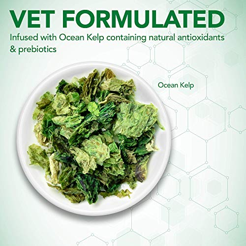 Vets-Best-Probiotic-Soft-Chews-Dog-Supplements-Supports-Dog-Digestive-Health-Promotes-a-Healthy-Gut