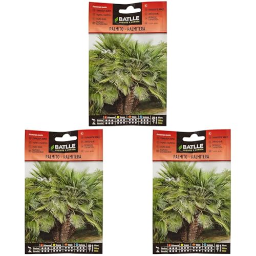 Palmito Palmitera-Chamaerops humilis (Paquete de 3)