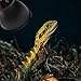 Imagen de Aparato de lámpara térmica para reptiles