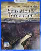 Sensation and Perception: Journey Through the Senses 11th