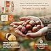 GreenHill Reserve Organic Whole Peeled Roasted Chestnuts, Ready to Eat, 3.6oz (12 pack) Vegan, Gluten Free, Great for Cooking, Baking and Snacking, Resealable Bag