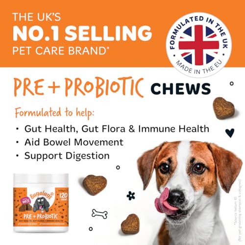 Bugalugs Probiotics for Dogs Natural Dog Treats with Pumpkin Powder - Probiotics For Gut Health, Sensitive Tums, Anal Gland, Scooting, Loose Stools, Smelly Itchy Ears Dog Probiotic - Image 3