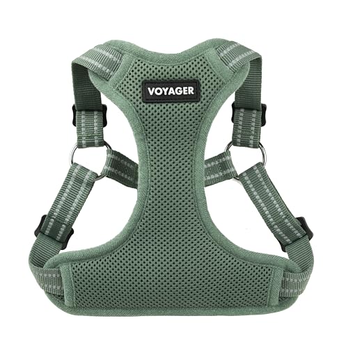 Best Pet Supplies Voyager Adjustable Step-in Flex Breathable Mesh Dog Harness for Small Medium Large Dogs Moss Green, M