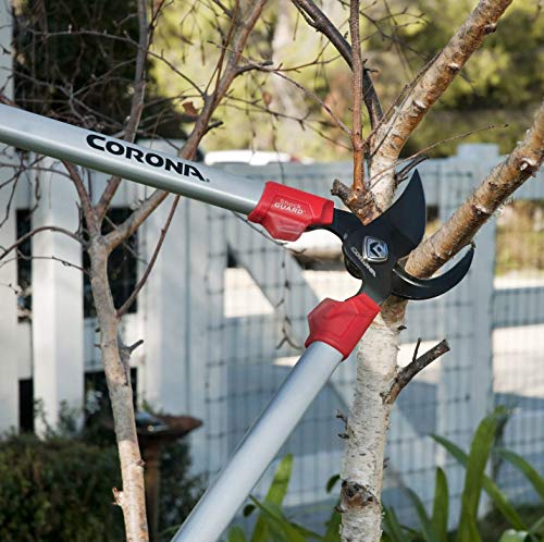 Corona Tools | 30-inch Branch Cutter ComfortGEL Bypass Loppers | Tree Trimmer Cuts Branches up to 1 ½-inches in Diameter | SL 3264 by Corona - Image 5