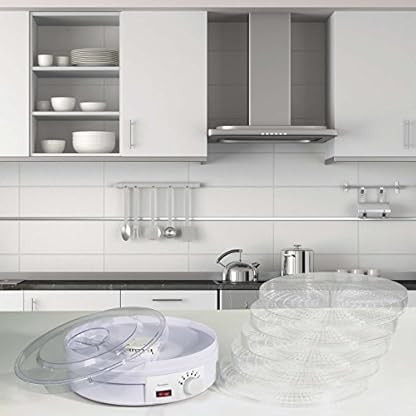 Dörrautomat mit 5 Ebenen Dörrgerät für Obst Trockner (Fleisch Dörrer, Thermostat, Wasserschale, Durchflusssystem, 245 W) – Bild 3