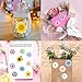 1200 PCS Flower Sticker Roll Spring Daisy Sunflower Sticker Decals Colorful Watercolor Flower Label Stickers for Scrapbooks Water Bottle Cards Envelopes and Spring Party Supply Decoration, 2 Rolls