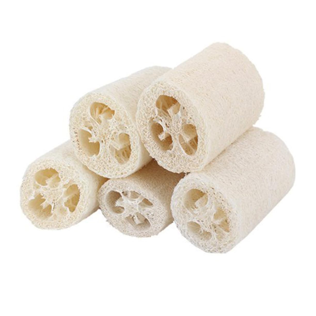 Ipetboom 15pezzi Spugna Naturale Loofah Per Esfoliante Per Corpo Di Luffa Per Pulizia e Stimolazione Della Circolazione Della